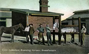 South Africa - SAC Sydenham, Bloemfontein