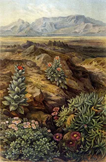 Images Dated 25th September 2019: SOUTH AFRICA / SCENERY