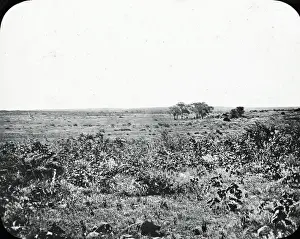 South Africa - Site of Lobengulas Kraal, etc