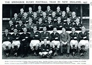 Springbok Prints: South Africa Springbok Rugby Team in New Zealand