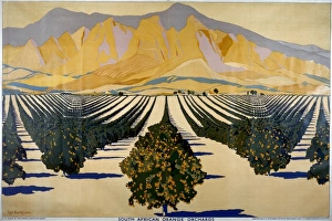 South African oranges poster