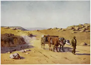 Leads Prints: South African Ox-Cart