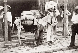 Handler Prints: South America, pack horse with its load and handler