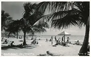 Shade Prints: South Beach, Key West, Florida, USA