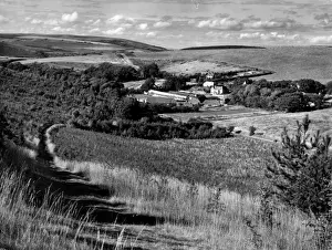 The South Downs