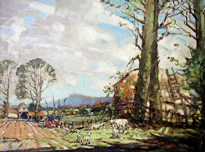 The South Downs near Chanctonbury, Sussex