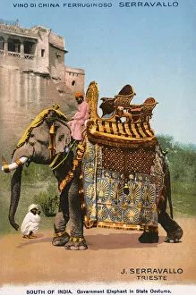 Adorned Gallery: South Indian Elephant in full State garb