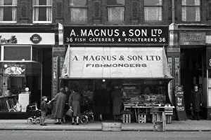 Premises Prints: South London fishmongers, A Magnus & Son Ltd South London fishmongers