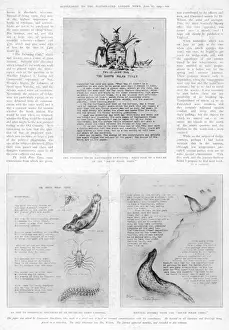 Journalism Prints: The South Polar Times