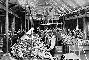 South Shields Coal Picking early 1900s