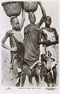 Images Dated 24th April 2012: South Sudan - Shulluk Girls of the White Nile
