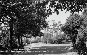 Southbourne Prints: Southbourne Carberry Avenue