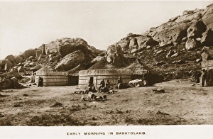 Live Stock Collection: Southern Africa - Lesotho (formerly Basutoland)