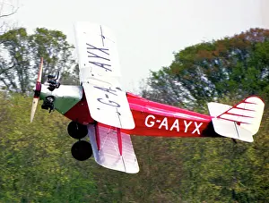 G Aayx Prints: Southern Martlet G-AAYX