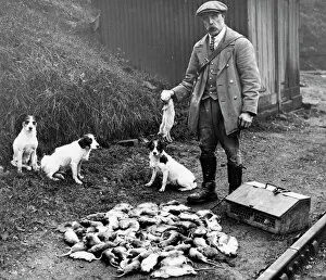 Cage Gallery: Southern Railway Ratcatcher