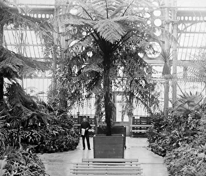 Southport Winter Gardens