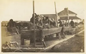 Troughs Prints: Southwold, Suffolk - Scottish fisher girls at work