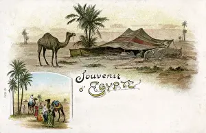 Oasis Prints: Souvenir of Egypt Postcard - Bedouin Tent and Camel