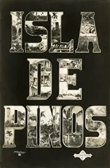 Pines Prints: Souvenir postcard, Isla de Pinos, Cuba