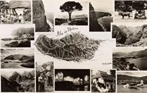 Souvenir postcard of Madeira