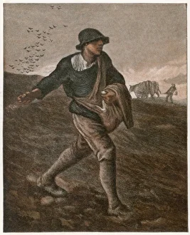 THE SOWER
