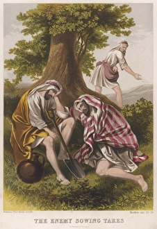 THE SOWER