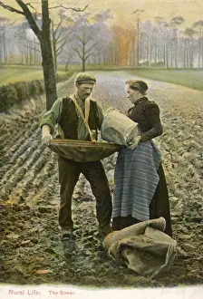 S Eed Prints: SOWING