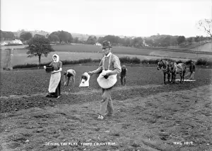 Sowing the Flax, Toome, Co. Antrim