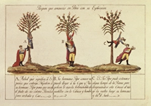 Joseph Bonaparte