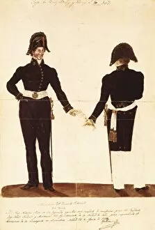 Deputies Gallery: Spain (1833). Uniform for advisors, deputies