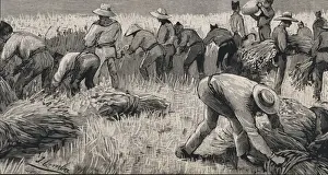 Jerez Prints: Spain (19th c. ). Soldiers of the hunters battalion