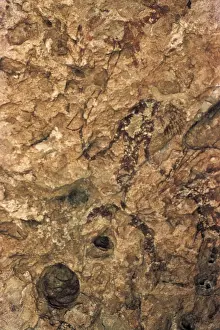 Vieja Prints: SPAIN. Alpera. Alpera Cave paintings Man wearing