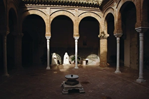 Images Dated 22nd April 2007: Spain. Andalusia. Seville. Island of the Charterhouse. Monas