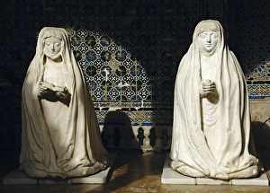 Images Dated 22nd April 2007: Spain. Andalusia. Seville. Island of the Charterhouse. Monas
