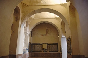 Images Dated 22nd April 2007: Spain. Andalusia. Seville. Island of the Charterhouse. Monas