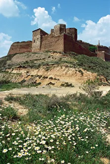 Daisies Prints: Spain, Aragon. Monzon Castle
