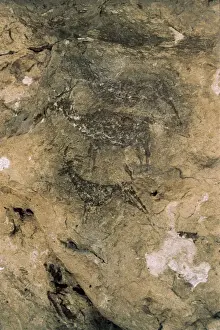 Valencian Prints: SPAIN. Bicorp. La Ara񡠃ave. Deers and goats