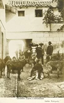 Live Stock Collection: Spain - Cordoba - Local People and animals
