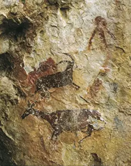 SPAIN. El Perellave of La Cabra Freixet