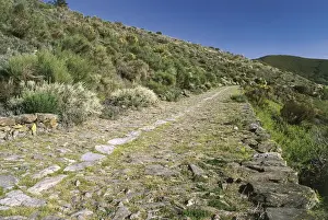 Extremaduran Prints: SPAIN. EXTREMADURA. CACERES. Roman paved road