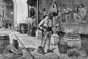 Cellar Prints: Spain. The grape harvest in Jerez, Andalusia