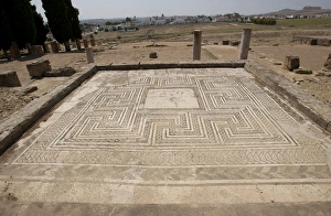 Cornelius Gallery: Spain. Italica. House of Hylas. Domus roman. Mosaic