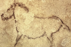 Euzkadi Collection: SPAIN. Kortezubi. Horse (13000 BF). Upper Paleolithic