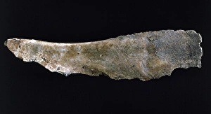 Castillo Gallery: Spain. Magdalenian (16000-15000). Scapula depicting a figure