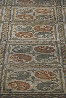 Vega Collection: SPAIN. Pedrosa de la Vega. La Olmeda Roman Villa