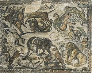 Vega Collection: SPAIN. Pedrosa de la Vega. Roman Villa La Olmeda