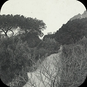 Alameda Gallery: Spain and Portugal - Alameda -Gibraltar