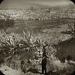 Grasses Prints: Spain and Portugal - Barcelona from Monjure?