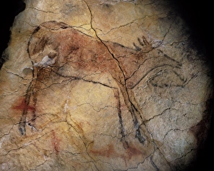 Santillana Collection: SPAIN. Santillana de Mar. Altamira Caves. Red