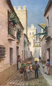 Spain / Seville Street